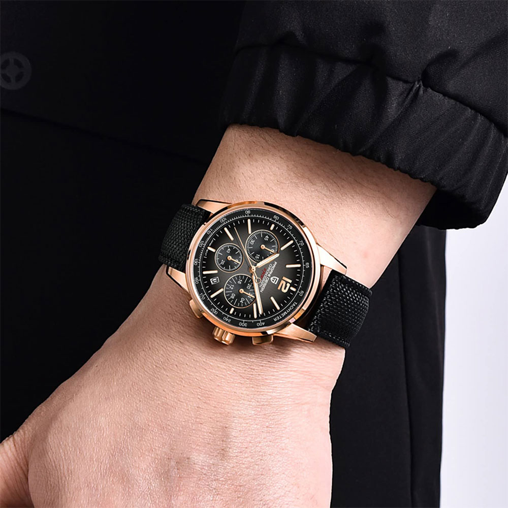 PAGANI DESIGN New Mens Watch 4 - Luxury Watch Logo recension och pris
