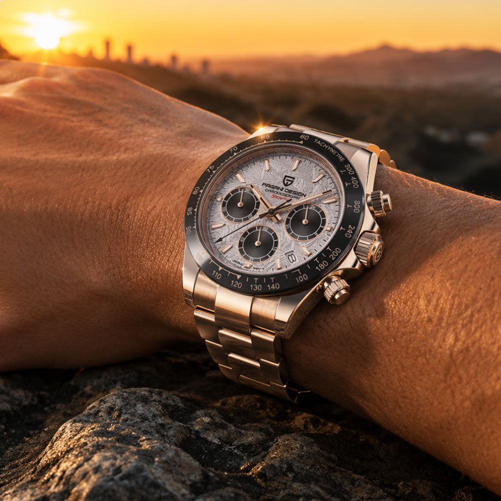 Top Brand PAGANI DESIGN Luxury - Luxury Watch Logo recension och pris